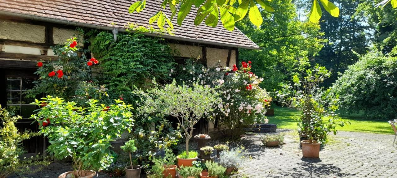 Villaflora Gaestehaus Riedlingen Exteriér fotografie