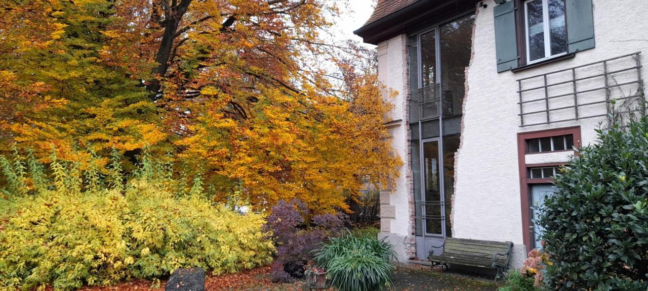 Villaflora Gaestehaus Riedlingen Exteriér fotografie