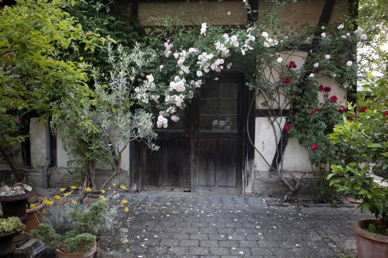 Villaflora Gaestehaus Riedlingen Exteriér fotografie